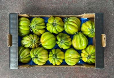 Foto Pomodoro Cuore di Bue  Origine Italia Marchio Vittoria Verde 3