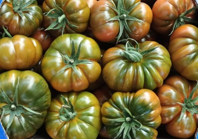 Foto Pomodoro Marinda Orignie Italia Marchio Esposito 2