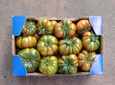 Foto Pomodoro Marinda Orignie Italia Marchio Esposito 3