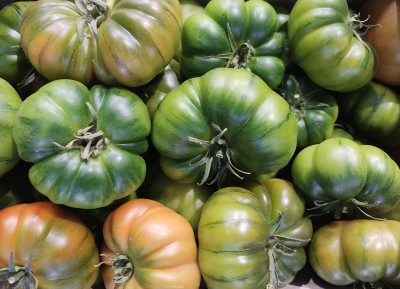 Foto Pomodoro Marinda Baby Origine Italia Marchio Le Primizie 2