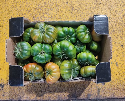 Foto Pomodoro Marinda Baby Origine Italia Marchio Le Primizie 3