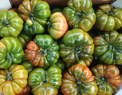 Foto Marinda Origine Italia Marchio I Love Sicily 2