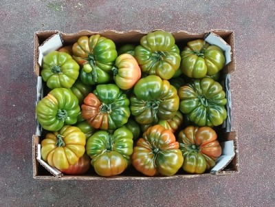 Foto Marinda Origine Italia Marchio I Love Sicily 3