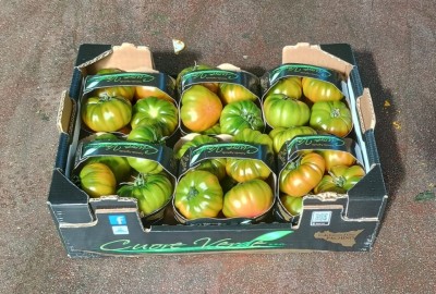 Foto Pomodoro Costoluto Origine Italia Marchio Cuore Verde 1