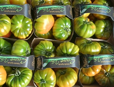 Foto Pomodoro Costoluto Origine Italia Marchio Cuore Verde 2