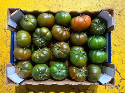 Foto Pomodoro Costoluto Calibro AA Origine Italia Marchio Sicilia 3