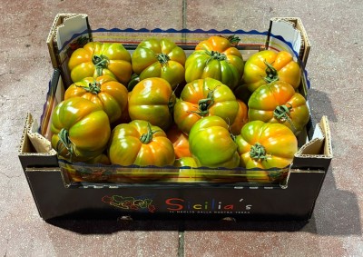 Foto Pomodoro Costoluto Origine Italia Marchio Sicilia 1