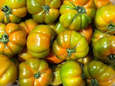 Foto Pomodoro Costoluto Origine Italia Marchio Sicilia 2