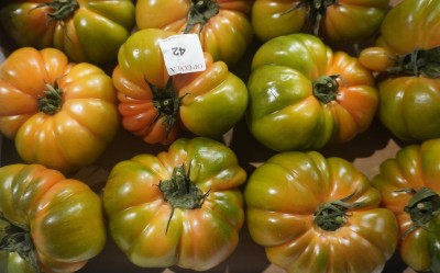 Foto Pomodoro Costoluto Origine Italia Marchio Copla  2