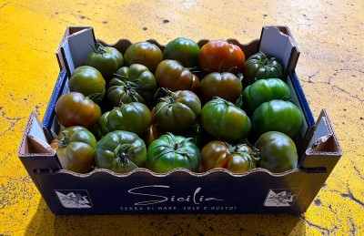 Foto Pomodoro Costoluto Origine Italia Marchio Sicilia  1