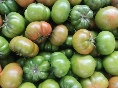 Foto Pomodoro Costoluto Origine Spagna Marchio Casi 2