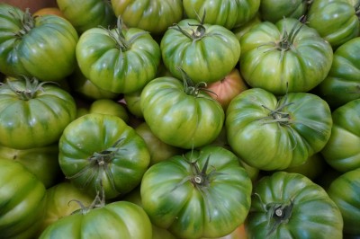 Foto Pomodoro Costuluto Origine Spagna Marchio Casi 2
