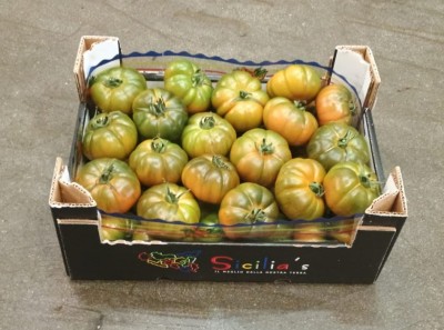 Foto Pomodoro Costoluto Origine Italia Marchio Arrabito  1