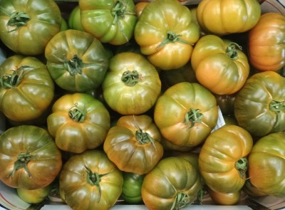 Foto Pomodoro Costoluto Origine Italia Marchio Arrabito  2