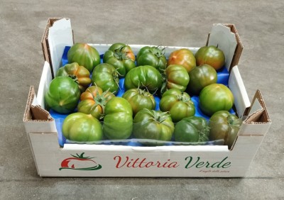 Foto Pomodoro Costoluto Origine Italia Marchio Vittoria Verde 1