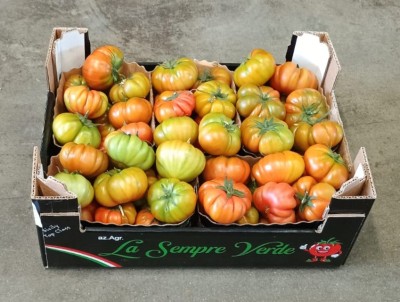 Foto Pomodoro Costoluto Origine Italia Marchio Sempre Verde 1