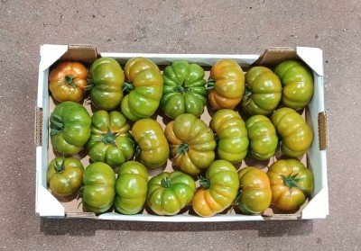 Foto Pomodoro Costolutoi Origine Italia Marchio Sicilia 3