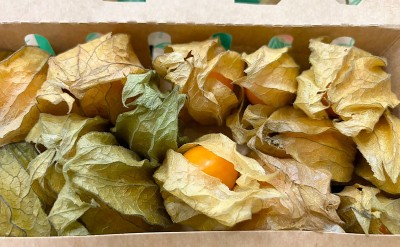 Foto Physalis Confezione da 12 Vaschette Origine Comlombia Marchio Caribbean Exotic 2