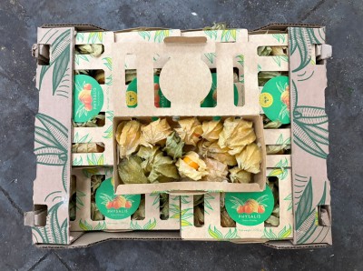 Foto Physalis Confezione da 12 Vaschette Origine Comlombia Marchio Caribbean Exotic 3