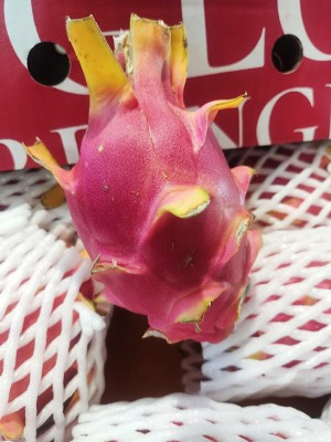 Foto Pithaya Rossa Confezione Da 3 Kg Origine Thailandia Marchio Js Glob  2