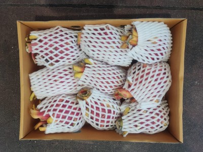 Foto Pithaya Rossa Confezione Da 3 Kg Origine Thailandia Marchio Js Glob  3