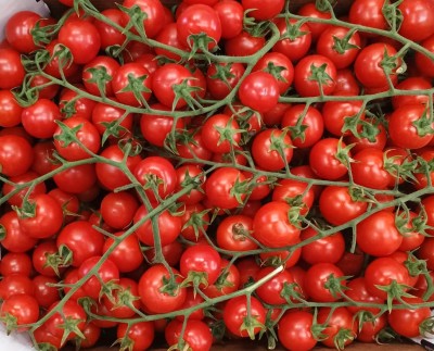 Foto Pomodoro Ciliegino Origine Italia Marchio Vasile  2