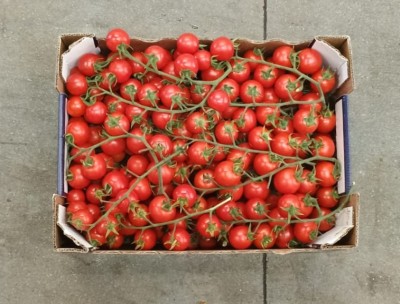 Foto Pomodoro Ciliegino Origine Italia Marchio Vasile  3