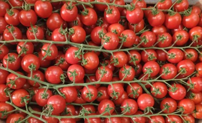 Foto Pomodoro Ciliegino Origine Italia Marchio Orto Di Sicilia 2