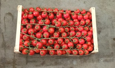 Foto Pomodoro Ciliegino Origine Italia Marchio Orto Di Sicilia 3