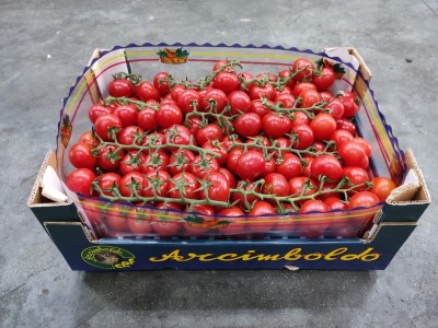 Foto Pomodoro Ciliegino Origine Italia Marchio Arciboldo 1
