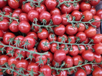 Foto Pomodoro Ciliegino Origine Italia Marchio Arciboldo 2