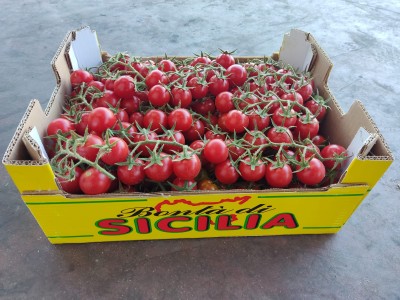 Foto Pomodoro Ciliegino Marchio Bontà di Sicilia 1