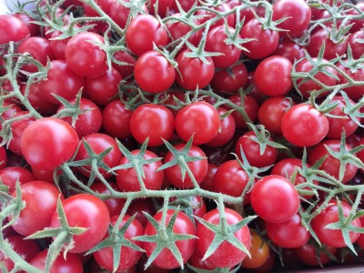 Foto Pomodoro Ciliegino Marchio Bontà di Sicilia 3