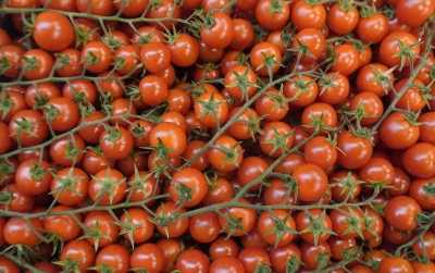 Foto Pomodoro Ciliegino  Origine Italia Marchio Bontà di Sicilia 2