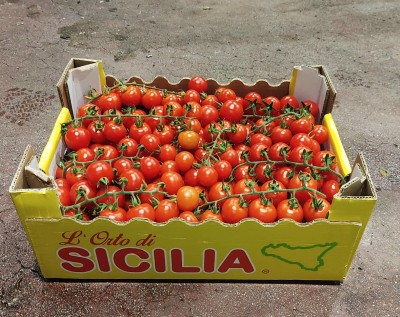 Foto Pomodoro Ciliegino Origine Italia Marchio Sicilia  1