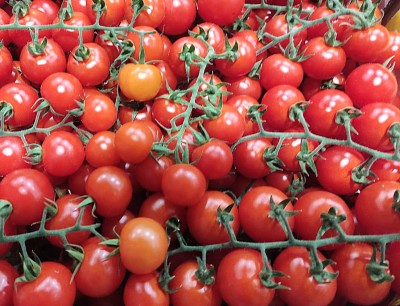 Foto Pomodoro Ciliegino Origine Italia Marchio Sicilia  2