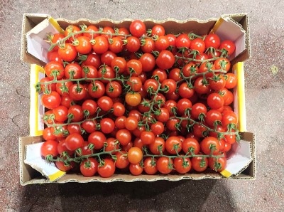 Foto Pomodoro Ciliegino Origine Italia Marchio Sicilia  3