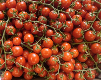 Foto Pomodoro Ciliegino Origine Italia Marchio Sicilia 2