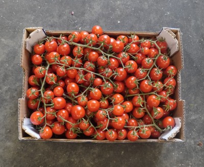 Foto Pomodoro Ciliegino Origine Italia Marchio Sicilia 3