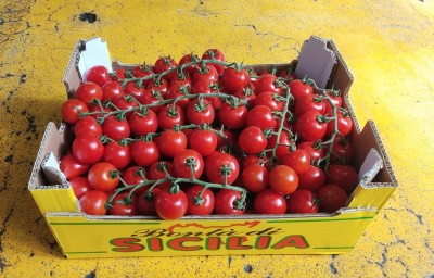Foto Pomodoro Ciliegino Origine Italia Marchio Sicilia    1