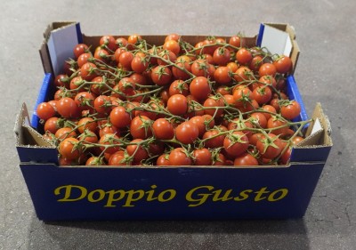 Foto Pomodoro Ciliegino Origine Italia Marchio Doppio Gusto  1