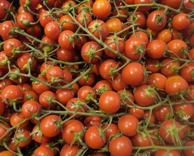 Foto Pomodoro Ciliegino Origine Italia Marchio Doppio Gusto  2