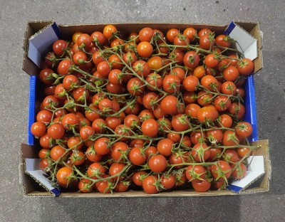 Foto Pomodoro Ciliegino Origine Italia Marchio Doppio Gusto  3
