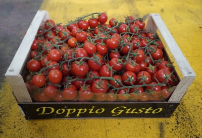 Foto Pomodoro Ciliegino Origine Italia Marchio Doppio Gusto 1
