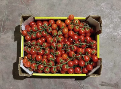Foto Pomodoro Ciliegino Origine Italia Marchio Trentatrè 3