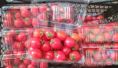 Foto Pomodoro Ciliegino Confezionato Origine Grecia Marchio Greek Premium    2
