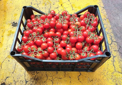 Foto Pomodoro Ciliegino Origine Italia Marchio Kasmenea 1