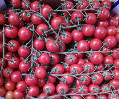 Foto Pomodoro Cilegino Origine Italia Marchio L'Orto Di Sicilia  2