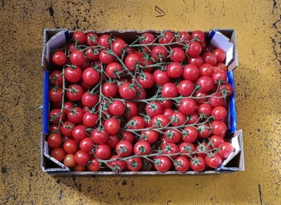 Foto Pomodoro Cilegino Origine Italia Marchio L'Orto Di Sicilia  3
