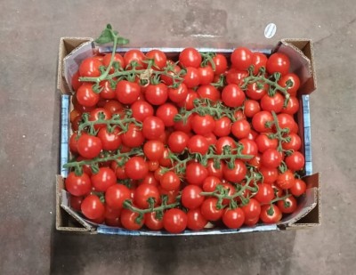 Foto Pomodoro Ciliegino Origine Italia Marchio Quadrifoglio  3